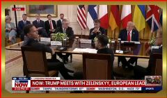 2025-08-18 at 8.19.51.jpeg